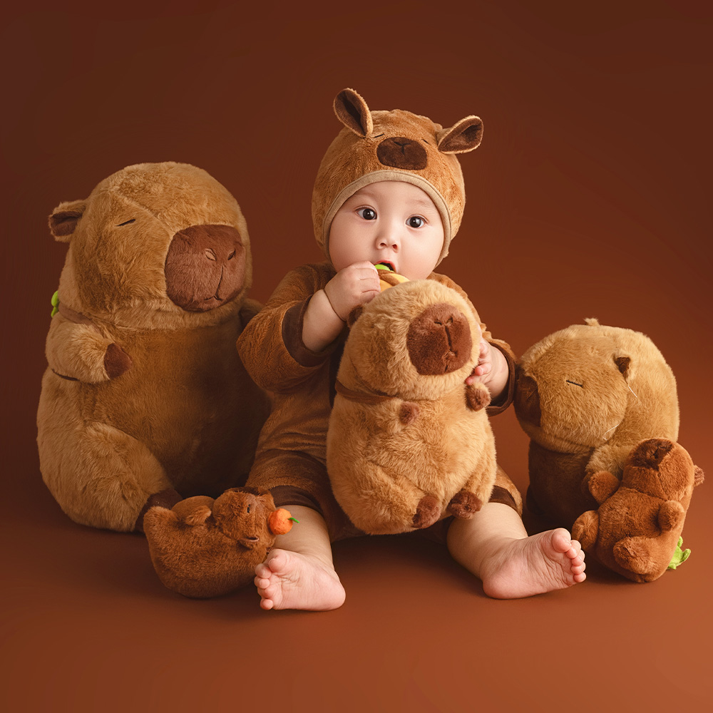 Photography Of The Day - 100 Days Baby Celebration Theme Photography
