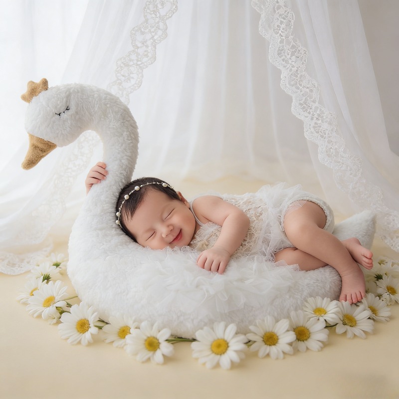Photography Of The Day - Newborn Photography Prop Swan Lace Outfit