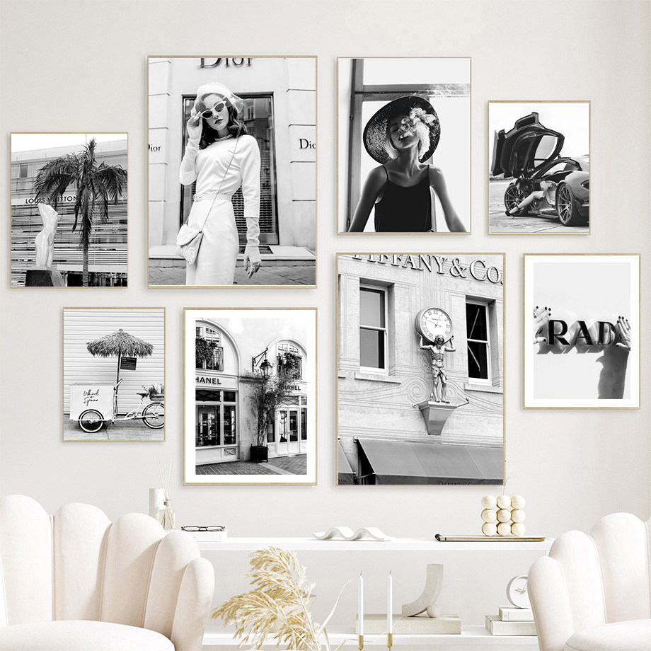 Photography Black And White - new Fashion Woman Luxury Car Dog