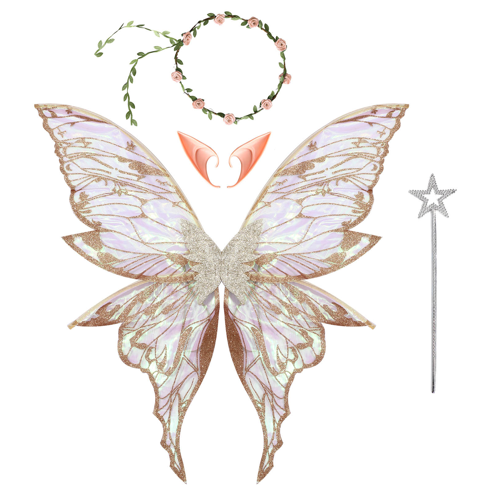 Photography Of The Day - Butterfly Fairy Wings Princess Angel Wing