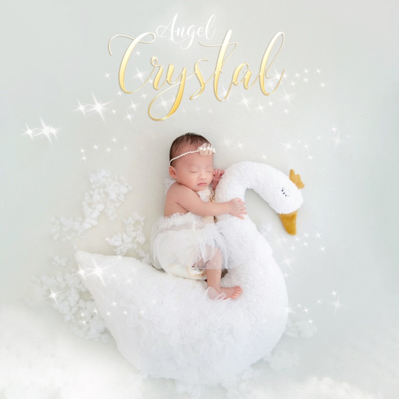 Newborn Photography Prop Swan  - Photography Of The Day ulasan dan harga