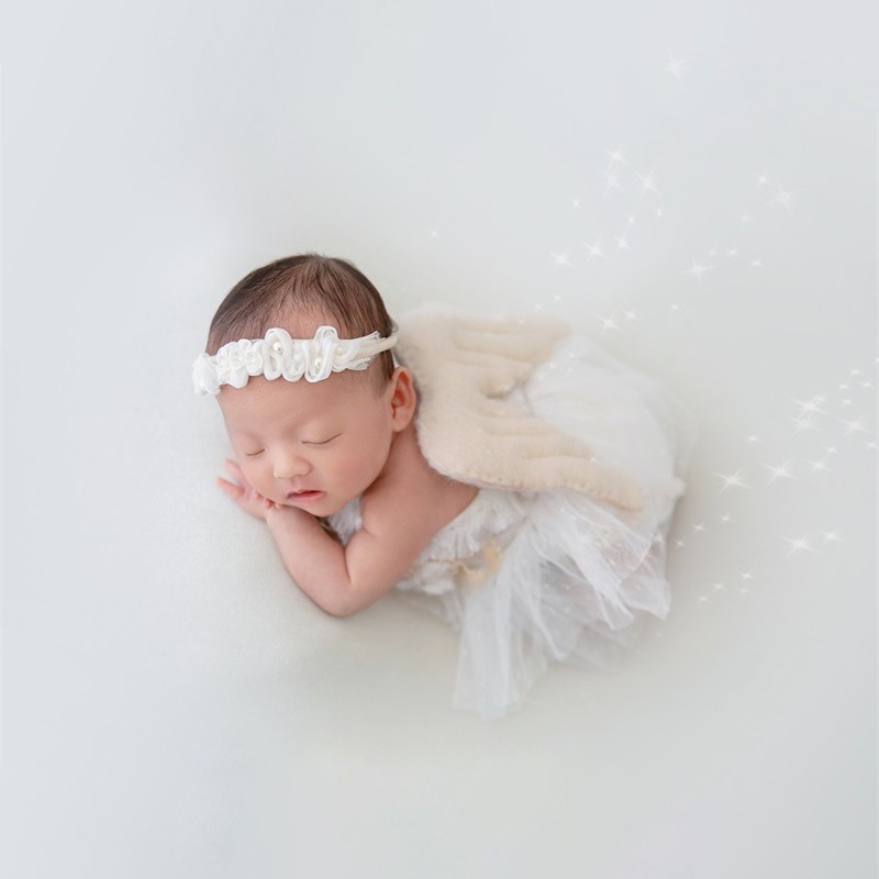 Newborn Photography Prop Swan  - Photography Of The Day ulasan dan harga