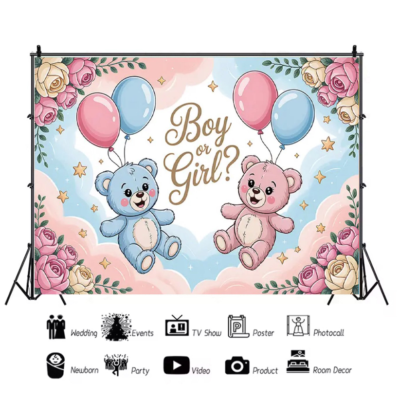 Gender ​Reveal Theme Backdrop  - Photography Architecture ulasan dan harga