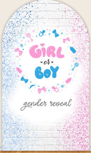 LS Gender Reveal Party Arch Co - Photography Questions ulasan dan harga