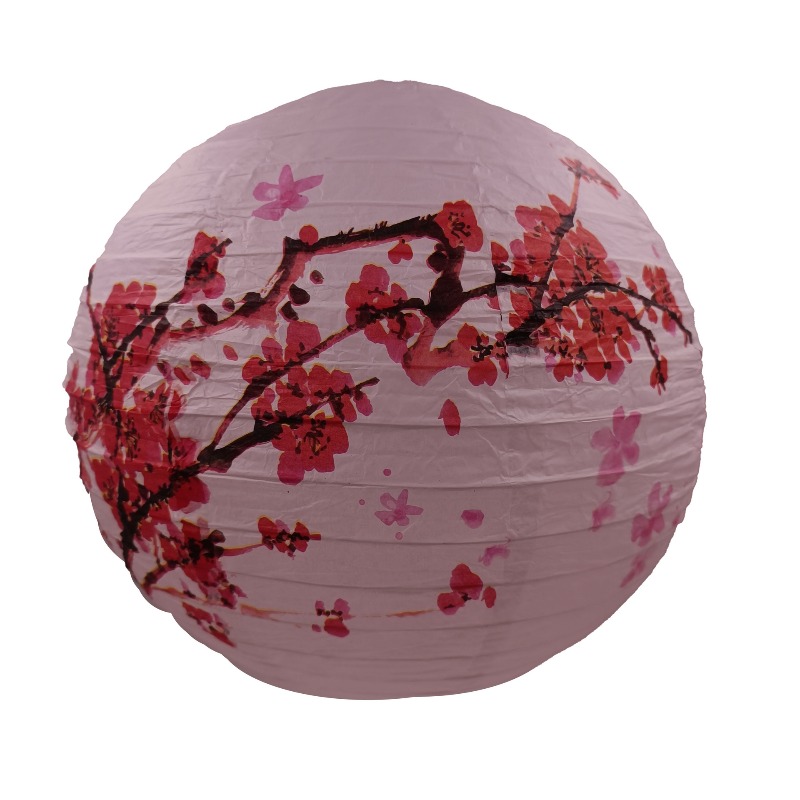 30cm Printed Paper Chinese Sty - Photography Of The Day ulasan dan harga