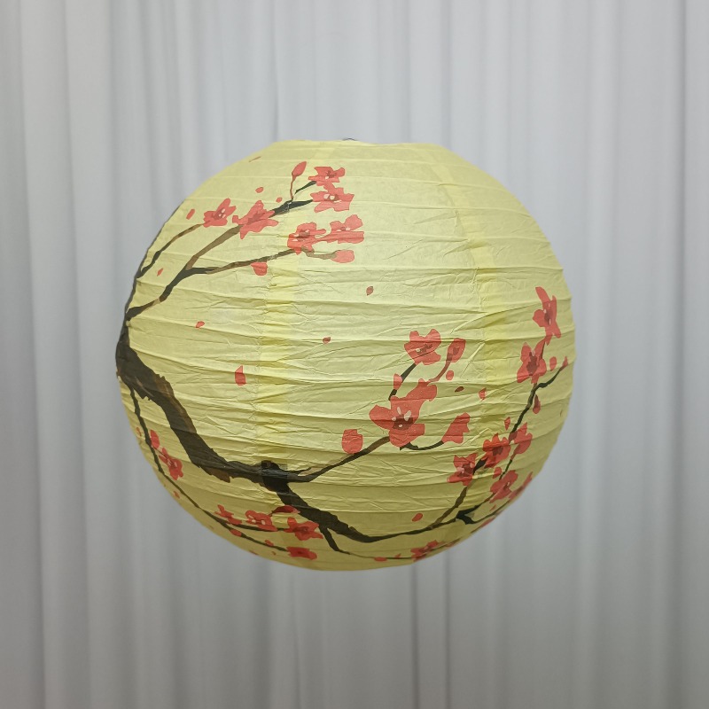 30cm Printed Paper Chinese Sty - Photography Of The Day ulasan dan harga