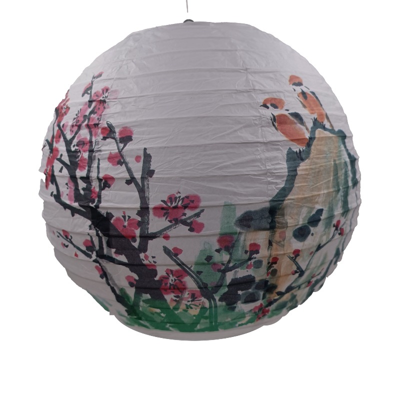 30cm Printed Paper Chinese Sty - Photography Of The Day ulasan dan harga