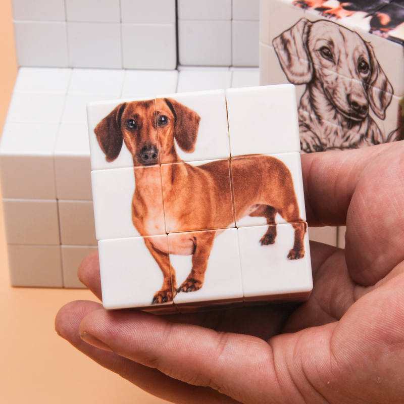 Personalized magic cubes, cust - Photography Exhibition ulasan dan harga